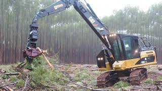 Harvester CAT 320D FM with Satco Grapple Felling