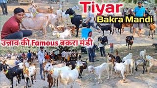 तियर बकरा मंडी उन्नाव |Tiyar Bakra Mandi 2024 |Tiyar Bakra Mandi New Video