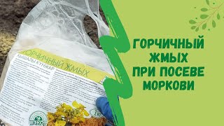 🌾Горчичный жмых при посеве моркови