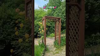 🌿기억할게🌿/너만의 자태/한택식물원/맨발 걷기 좋은 날 253/앞산 맨발산행루틴