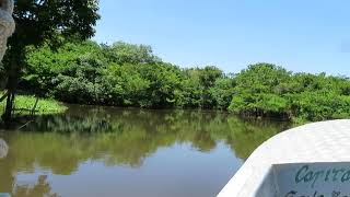 Amazon River , Manaus Brazil