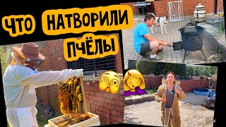 Пчеловодство в Канадской деревне// Роение пчёл, делаем отводок