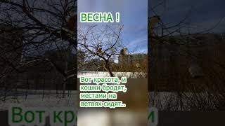 Встречаем весну #shorts