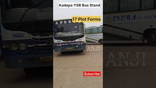 Kadapa RTC Bus Stand View #shorts #buslovers #travelvlog #travel #viral