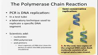 PCR from 360 in class