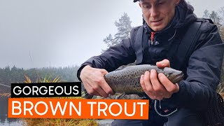 The DARKEST TROUT I have ever caught! Brown and rainbow trout fishing in Kullsjön