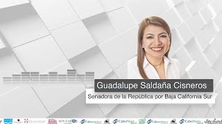 Entrevista en video con Guadalupe Saldaña Cisneros Senadora de la República por Baja California