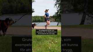 Springa med hund | Arken Zoo