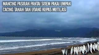 MANCING DI PANTAI SIDEM TULUNGAGUNG,UMPAN CACING DAN UDANG MUTILASI ,IKAN INI YANG MAKAN 👍