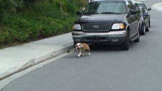 Maggie Skateboarding