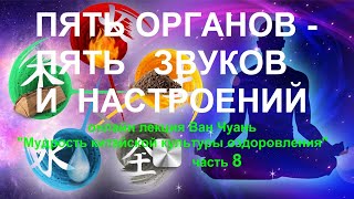 8. Пять органов- пять звуков и настроений