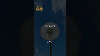 سورة الهمزة الآيات من 1 إلى 9 بصوت القارئ سعد الغامدي #حالات  #quran #قرآن  #shorts