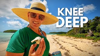 Sailing Eleuthera Part 2 PINEAPPLE CAYS |  Perfect Island Escape  | The Foster Journey ep171