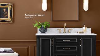 Sherwin-Williams Colormix 2024 – Un Encuentro de Profundos & Oscuros.