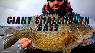 I Caught a GIANT FALL SMALLMOUTH BASS!!-Lake simcoe