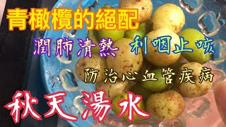 《秋天湯水》💯4種材料🥰利咽止咳👍🏻潤肺清熱🔥預防心血管疾病❤️潤腸通便😘防癌 Autumn Soup