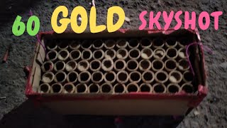 60 GOLD SKYSHOTS 🔥 !! skyshot cracker testing diwali 2023