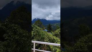 Singgah Nabalu dulu sebelum naik lebih tinggi #shortsvideo #travel #sabahtravel #kundasang