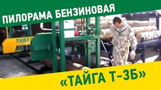 Пилорама бензиновая Тайга Т 3Б