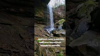 📍Uppermost Turkey Branch Falls, Daniel Boone National Forest, Kentucky #Waterfall #Kentucky #Hiking