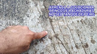 APRENDA SOLUCIONAR TRINCOS E RACHADURAS DO SEU TANQUE DE PEIXE