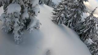 Freeride în Munții Rodnei 5 🎿 WHITEDOT  🎿