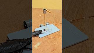 Cockroach trap funny video 😂😂 with 1 sitck dc motor #engineering #trap #funny #electronics