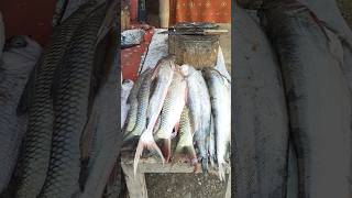 Dhaba Fish In The Village #fishing #fish #ytshorts