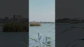 الملاحه الملاحه (ملاحات تصوير فيلم العار Navigation Navigaon (Navigation scenes from the film Shame)