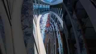 Regal Princess Seawalk | Would you do it? #cruise #princess