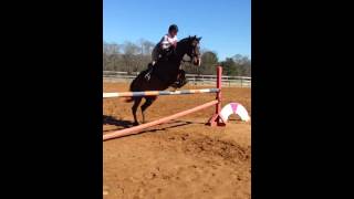 Jumping Booker 3' 3" at West Creek Stables in Austell, GA #horsejumping #horse #equestrian #horses