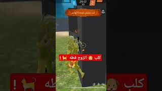 كلب تزوج قطه يخلفو اي ؟ 🐶🐈🤣 #funny #لايك #ترند #freefire #فولو #اكسبلور #فري_فاير