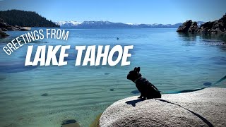 ANTELOPE ISLAND STATE PARK // SALT FLATS // LAKE TAHOE