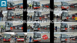 Flotila AUTOBUSY A ELEKTROBUSY