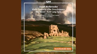 Violin Concerto in F Major, Op. 59 "The Grasshopper": I. Allegro con molto fuoco