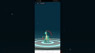 Evolucionando a Treecko Shiny Pokémon GO