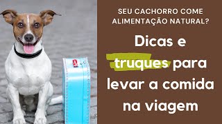 Como levar a alimentação natural do seu cachorro numa viagem?