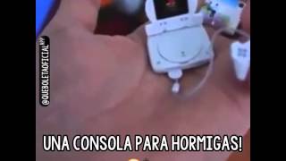 Una consola para hormigas