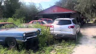 Muscle car Salvage Umatilla Fl