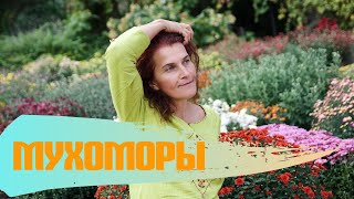 Мифы о ядовитых растениях, мухоморы!