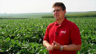 Researching Soybeans for Successful Yields at Beaver Crossings Research Farm