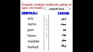 كلمات عربية مستخدمة في الصومالية-الحلقة(2)