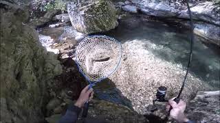 Ho scoperto un micro torrente fantastico... pescando TROTE SELVATICHE UNICHE!