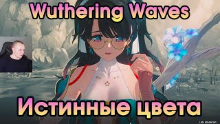 Wuthering Waves ➤ Истинные цвета ➤ True Colors ➤ Миссия компаньона Чжечжи ➤ Прохождение игры WuWa