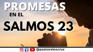 Promesas en el Salmos 23