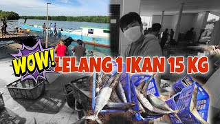 SUASANA PAGI DI TEMPAT PELELANGAN IKAN TANJUNG LIMAU BONTANG