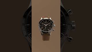 New Breguet Type XX