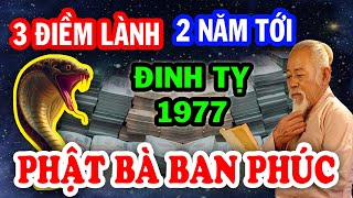 TOP 7 SỰ THẬT CHẤN ĐỘNG, Tuổi Đinh Tỵ 1977 Phật Bà Cho Lộc Bỗng ĐỔI ĐỜI Giàu To Tiền Về Ầm Ầm