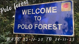 Polo forest_2023