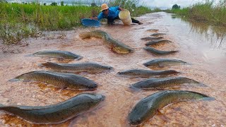 Fishing on the road, A fisherman hunting fish on flood water